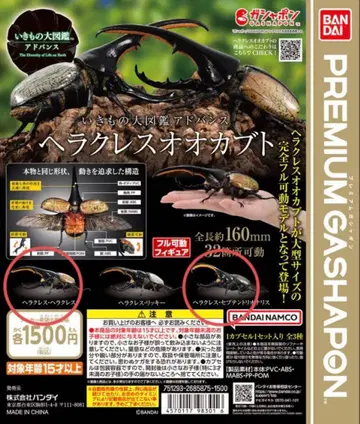 [캡슐판] 생물대도감 어드밴스 헤라클레스 장수풍뎅이 2종 세트