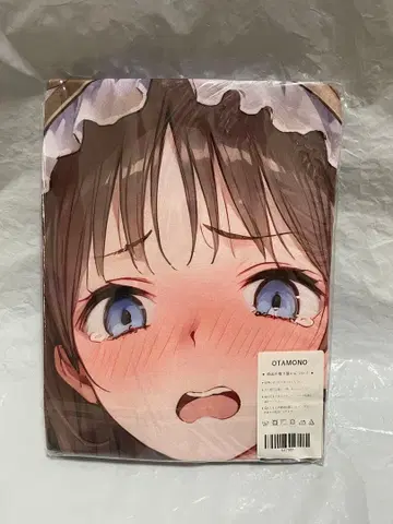 17951 빈 아틀리에 토토리