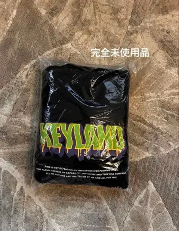 [연내 판매 종료] KEYLAND 후드티 후디 SHNee key