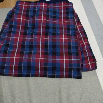 레드 블루 체크 무늬 A라인 스커트