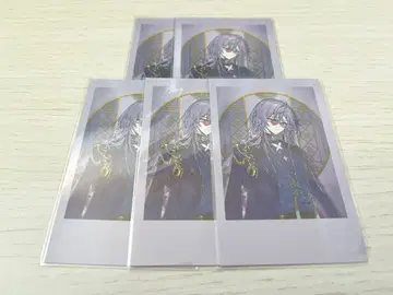 니지산지 호시미치 쇼 폴라로이드