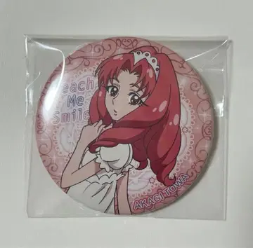 홍성 토와 트윙클 캔뱃지 10