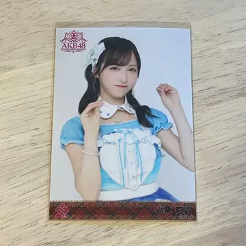 AKB48 멤버 리퀘스트 동경의 의상 브로마이드 오구리 유이