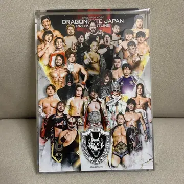 DRAGONGATE 웹폰 초레어상