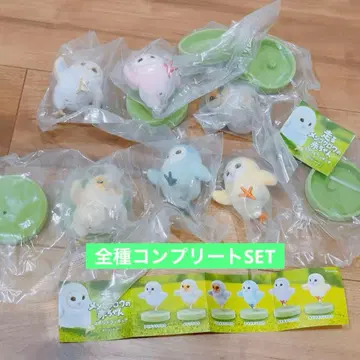 가챠 달리는 멘 올빼미 아기 6종 컴플리트 세트 미개봉 새상품