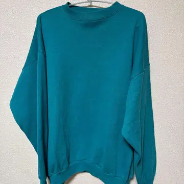 vintage TULTEX made in usa 맨투맨