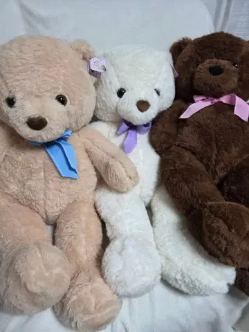 Wonderful Bear EX BIG 봉제 인형 3종 세트