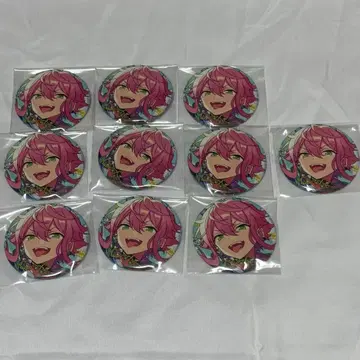 히메미야 토리 컬렉션 캔뱃지 10개