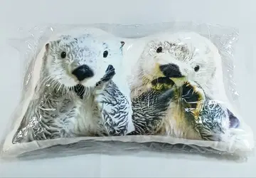 도바 수족관 랏코 메이짱 키라짱 쿠션 새상품