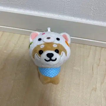 여행하는 마메시바 가고시마현 시로쿠마