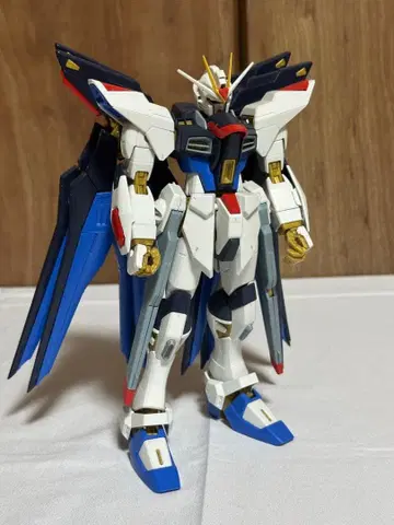 MG 마스터 그레이드 스트라이크 프리덤 완성품
