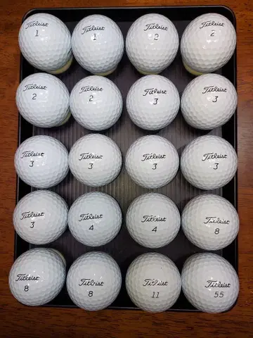 로스트볼 Titleist Pro V1 20개