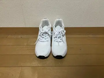 화이트 메쉬 하이컷 스니커즈 1회 사용 통굽, 약 8cm