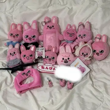 StrayKids 창빈 SKZOO DWAEKKI 돼끼