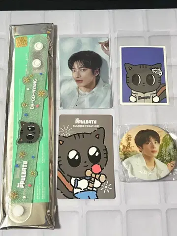 태현 다고냥 러버 밴드 트레이딩 카드