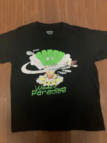 GREEN DAY Welcome to Paradise T셔츠 M 사이즈