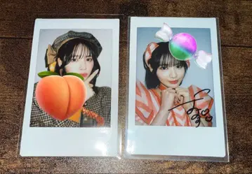 진세이 스즈카 폴라로이드 세트