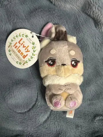 리브리 봉제 인형