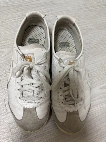 오니츠카타이거 MEXICO 66/WHITE 24.5