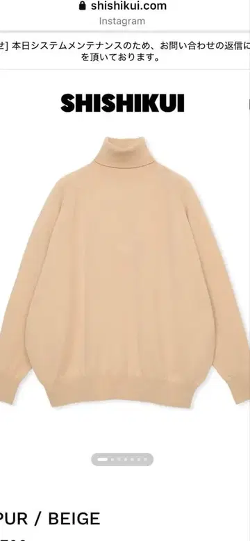 SHISHIKUI 베이지 터틀넥 니트