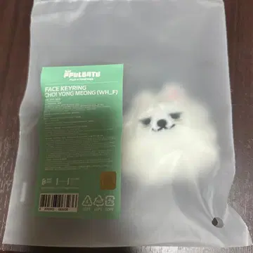 TXT 공식 PPULBATU 용몽 페이스 키링 수빈