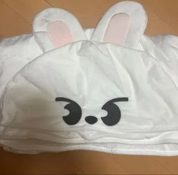 Stray Kids 스키즈 담요 Leebit 리노