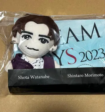 DREAM BOYS SnowMan 와타나베 쇼타 인형