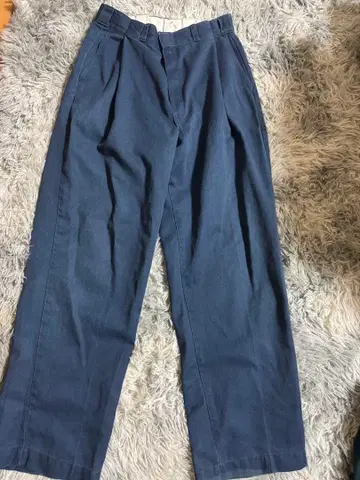 dickies usa 제 팬츠