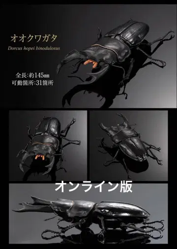 생물대도감 어드밴스 사슴벌레 02 온라인판 오오쿠와가타