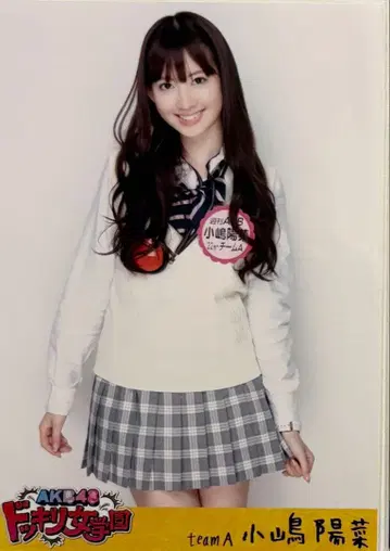 AKB48 코지마 요나 깜짝 여자 학원 DVD 봉입 브로마이드