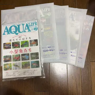 AQUA LIFE 아쿠아 라이프 월간 묶음 판매