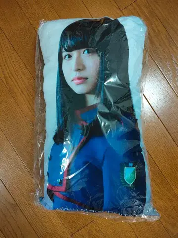 케야키자카 나가하마 네루 빅 쿠션 미개봉 불협화음