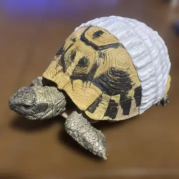 제일복권 파충류 & 양서류 ~Tiny Friends~ vol.2 C상