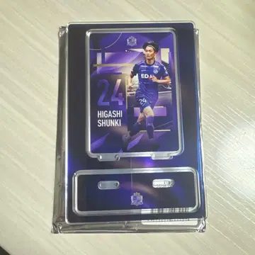 산프레체 히로시마 24번 히가시 토시키 선수