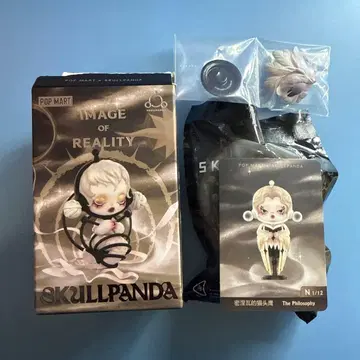 SKULLPANDA 스컬팬더 IMAGE OF REALITY