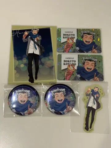 하이큐!! 코스모 월드 보쿠토 코타로