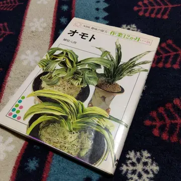 오모토 재배 가이드 NHK 출판