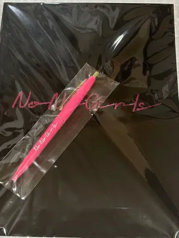 미사용 미개봉 NoNoGirls 노트와 펜 세트 HANA 꽃 ROSE