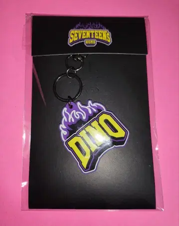 SEVENTEEN HOME 디노 DINO 러버 키링