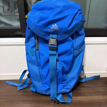 GREGORY 파랑 백팩