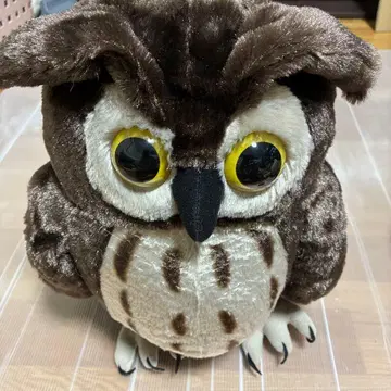 올빼미 봉제 인형 약 30cm
