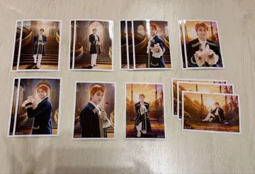 초특급 타카시 생탄 브로마이드 16매 세트