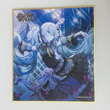 프로세카 니고 색지 캔뱃지