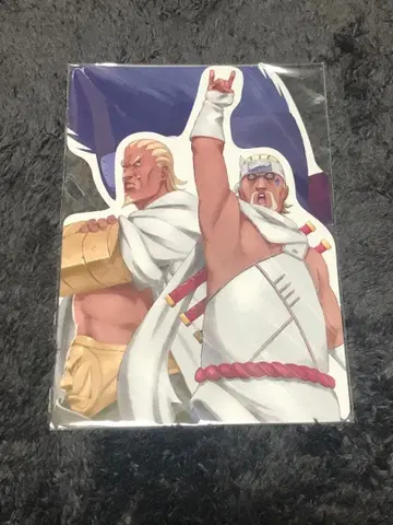 NARUTO 질풍전 특전 액션 엽서 킬러 비 라이카게 호시가키 키사메