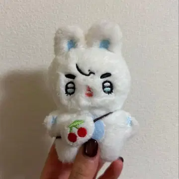 SEVENTEEN 세븐틴 세부치 에스쿱스 쿱스 봉제 인형  마스터