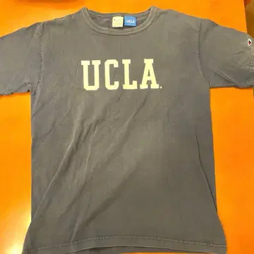 Champion UCLA 스테디셀러 T셔츠 L 네이비