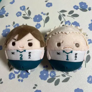 하이큐 후와코로링 2 니로 아오네 2개 세트