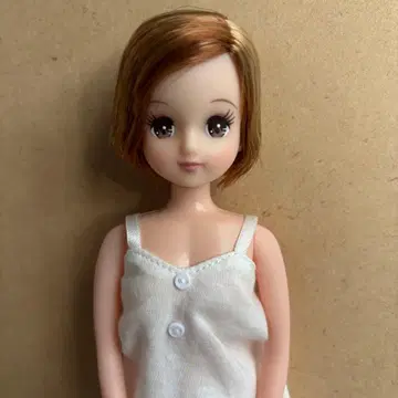 리카짱 캐슬 오타노시미 인형 아키짱 커스텀