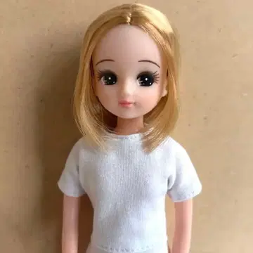 리카짱 캐슬 인형 쇼 모델 리카짱 커스텀