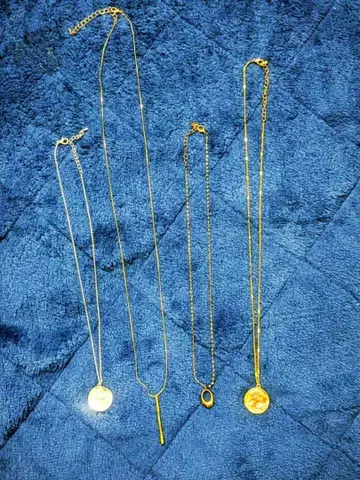 목걸이 5개 세트 (레스 블리스의 코인 목걸이 포함)